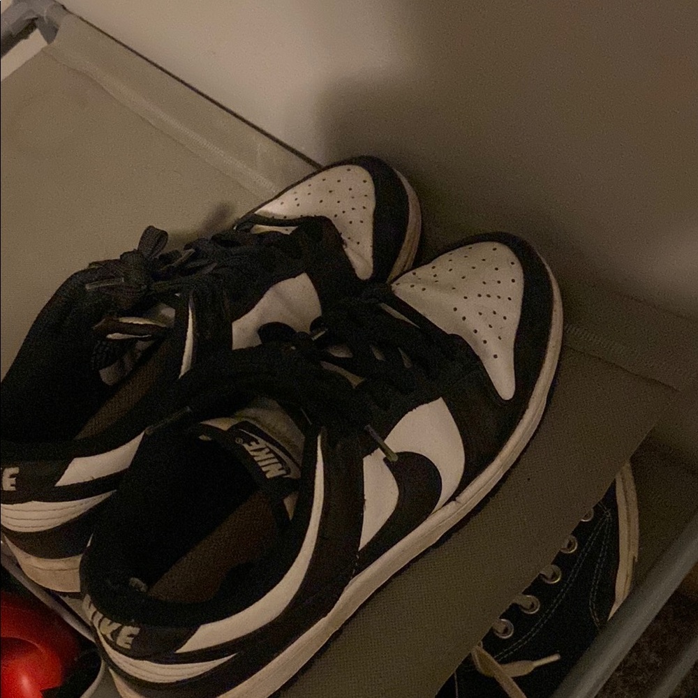 Panda dunks